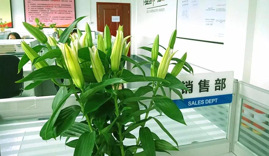 濃情七夕，最美祝福！